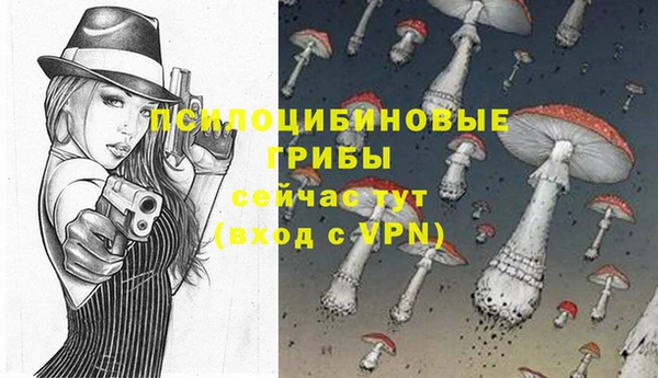 не бодяженный Богданович