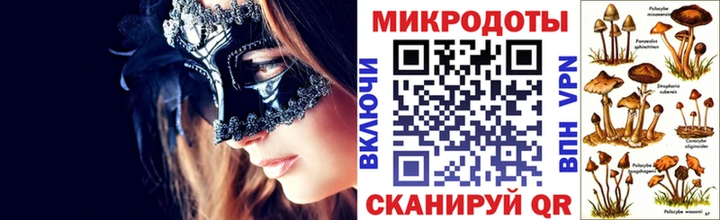 Галлюциногенные грибы MAGIC MUSHROOMS  Купить закладки  Богданович 