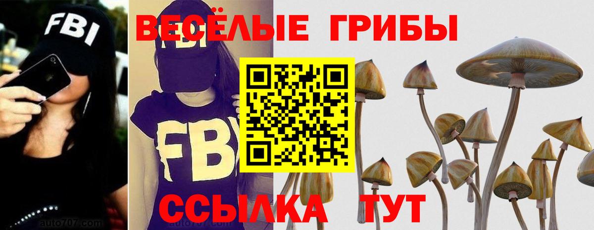 Галлюциногенные грибы Psilocybine cubensis Богданович